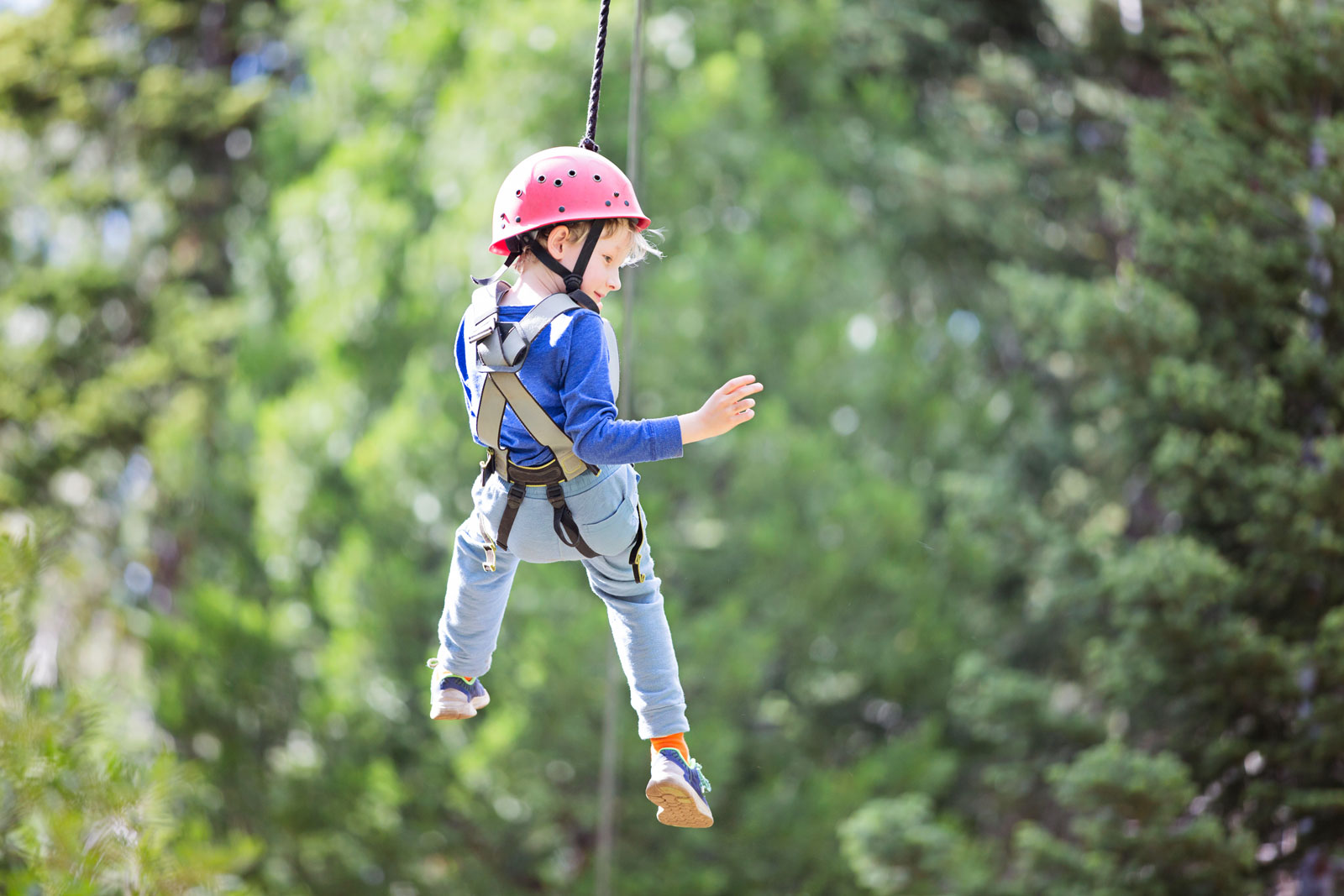 Tips for Organizing a Birthday Zip Line Adventure
