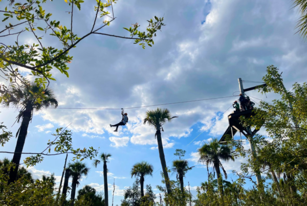 Person zip lining over trees