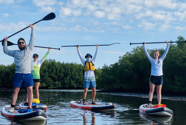 a group celebrates their first time stand up paddleboarding through mobbly bayou at empower adventures in tampa bay